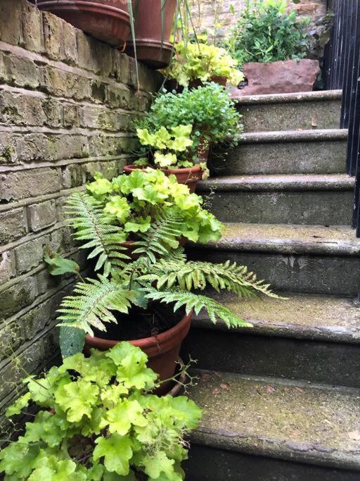 Kings Cross, Self-Contained House & Private Garden Vila Londres Exterior foto