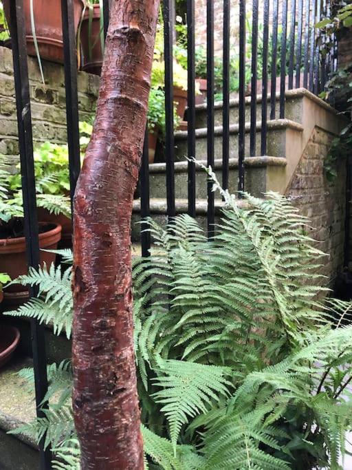 Kings Cross, Self-Contained House & Private Garden Vila Londres Exterior foto